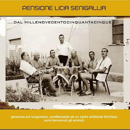 Pensione Licia 西尼加利亚 外观 照片