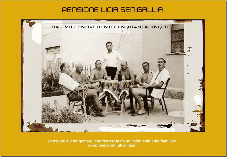 Pensione Licia 西尼加利亚 外观 照片